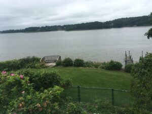 Pciture of a water view property maintained by delaware county landscape and tree