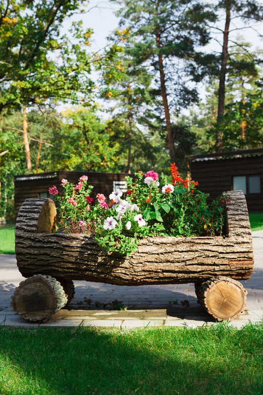 A Picture Of Plants And Beautiful Flowers Inside Of A Cut Log Designed To Look Like A Cart With Wheels Designed By Landscapers Of Delaware County Pa