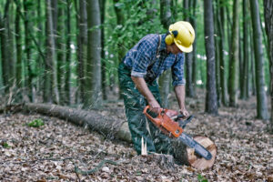 A Picture Of An Employee Cutting Up Trees On The Ground In Delaware County Pa
